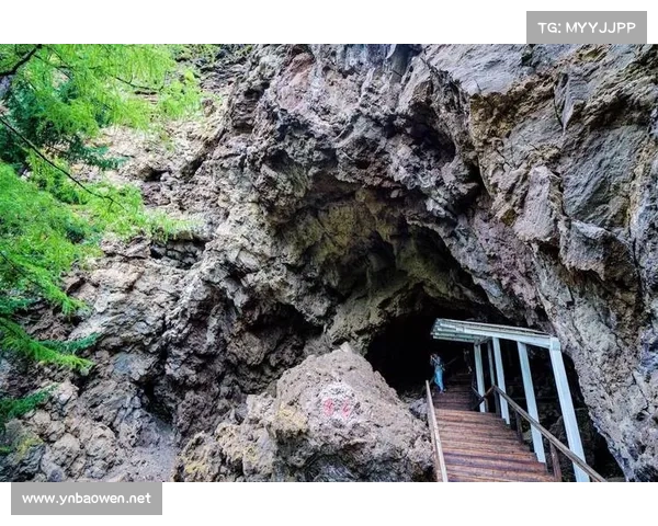 探索永歌森林的神秘景观与自然奇迹揭秘之旅 探索永歌森林的神秘景观与自然奇迹揭秘之旅