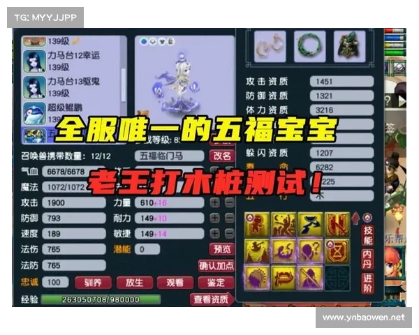 提升梦幻西游宝宝实力的全方位练级策略与技巧详解 提升梦幻西游宝宝实力的全方位练级策略与技巧详解