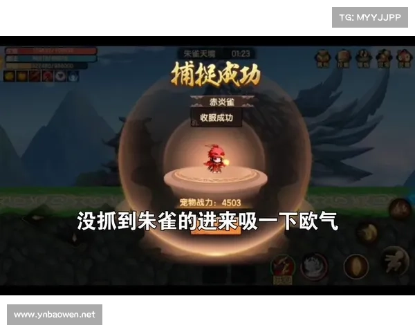 成为朱雀天境高手的修炼之路与必备步骤解析 成为朱雀天境高手的修炼之路与必备步骤解析