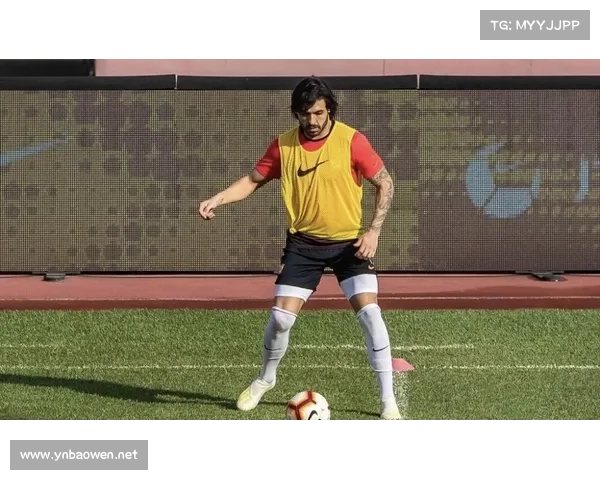 中国足球何时能超越巴西 解密历史背后的挑战与机遇