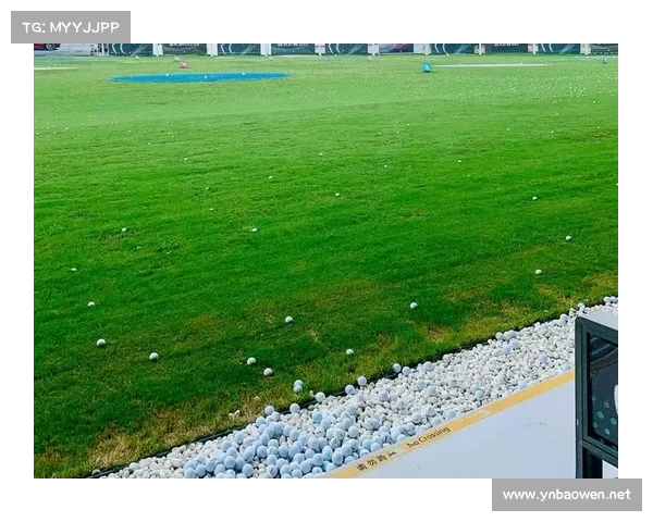 全方位聚焦洛塞尔索五大技术特点的深度解析与球场综合价值展现